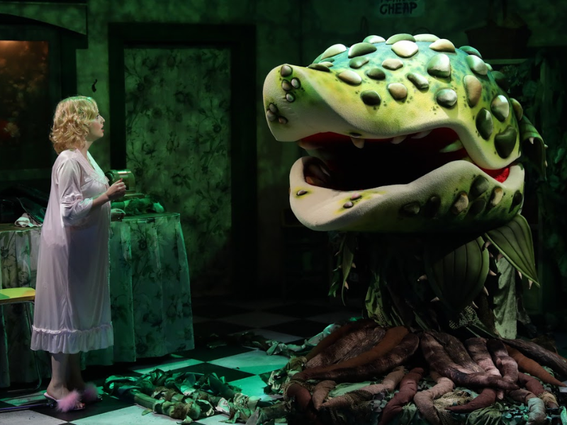 Little Shop Of Horrors