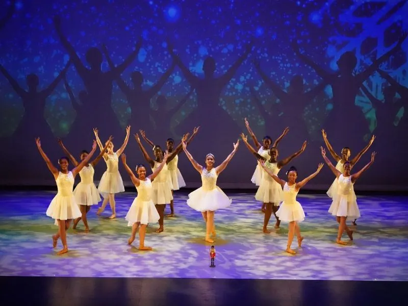 Dallas Black Dance Academy tickets