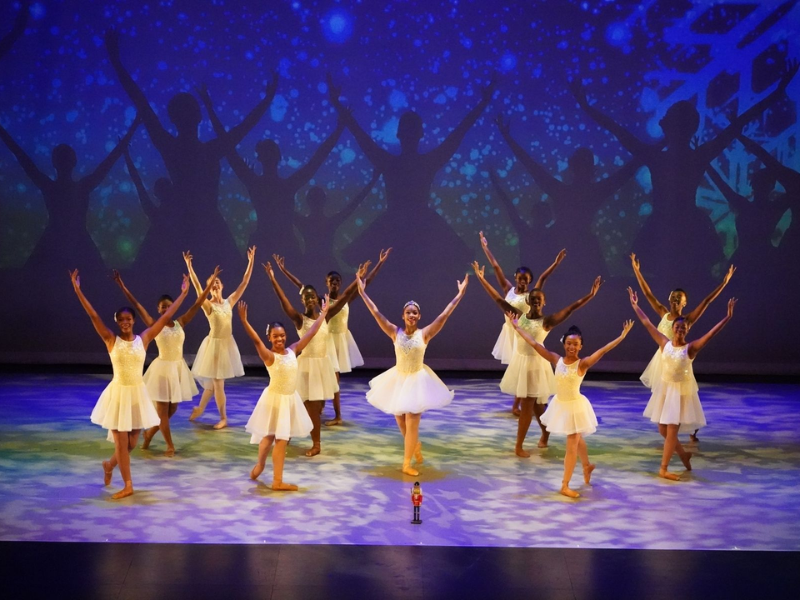 Dallas Black Dance Theatre tickets